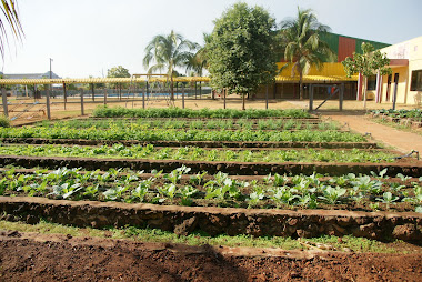 Horta na Escola