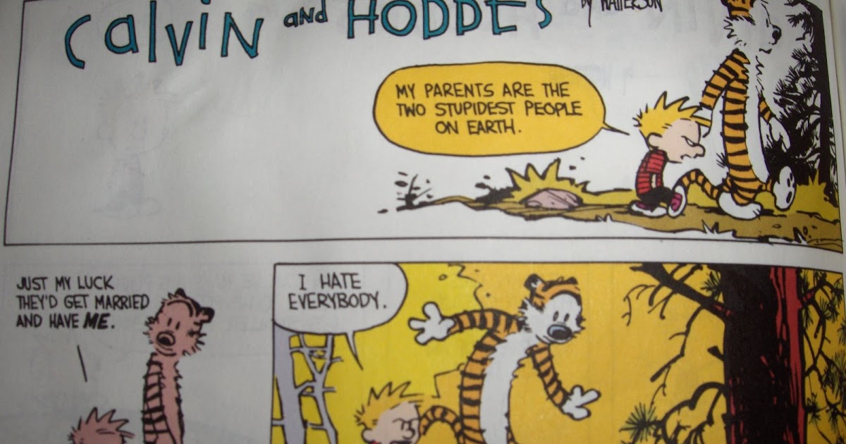 Everyone Needs Therapy Calvin and Hobbs and Reality image