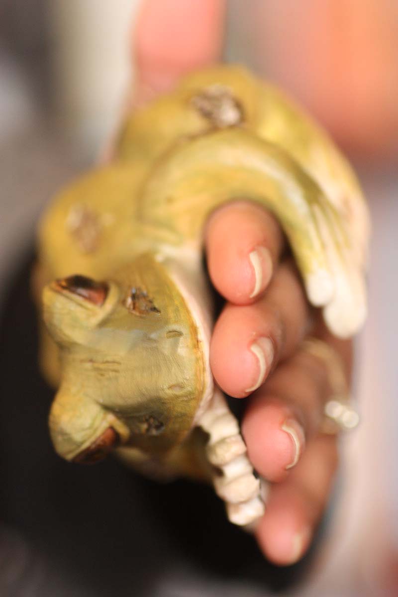 [toad.jpg]