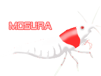 [grade-sss-(mosura)-verschie.gif]