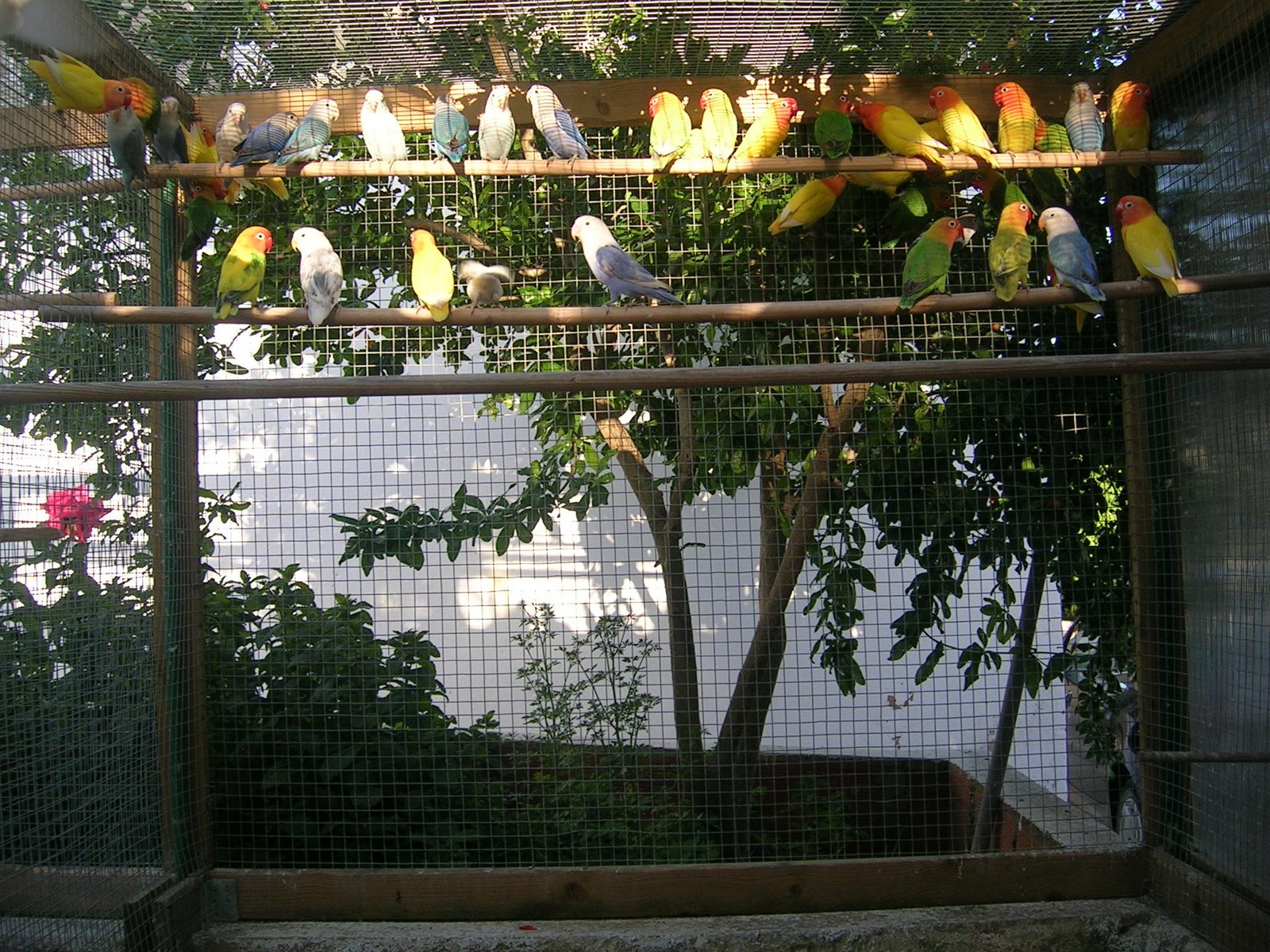 [DSCN1631.JPG]