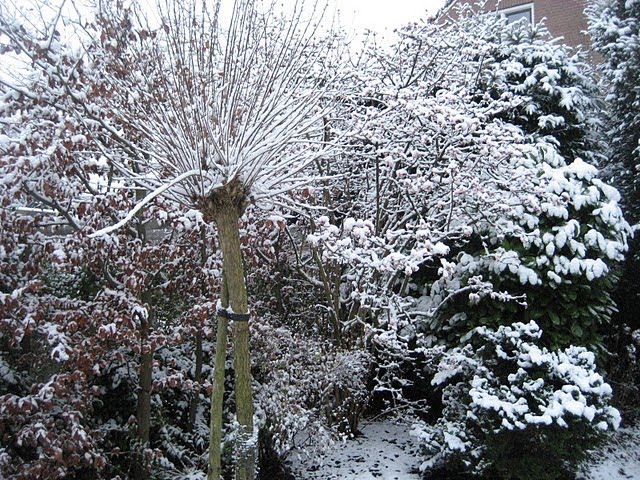 [IMG_5584.JPG]