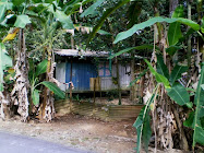 Hutje in de kampong