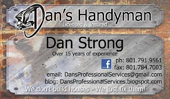 Dan's Professional Services