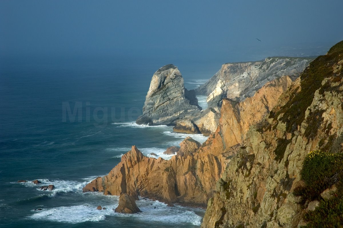 [DSC_00032.jpg]