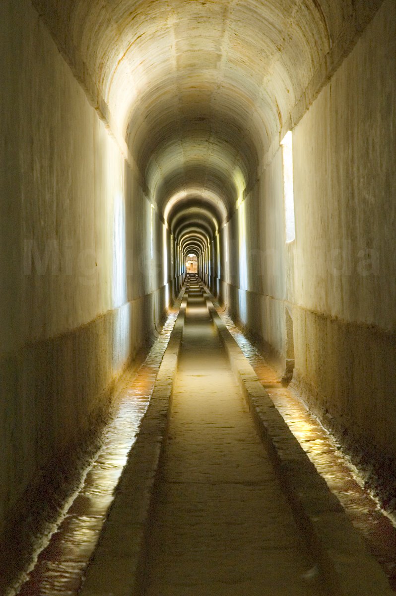 [DSC_6546.jpg]