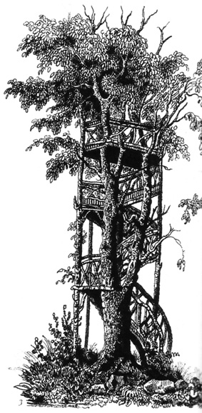 [Treehouse2.jpg]