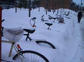 [montreal_bikes_snow.jpg]