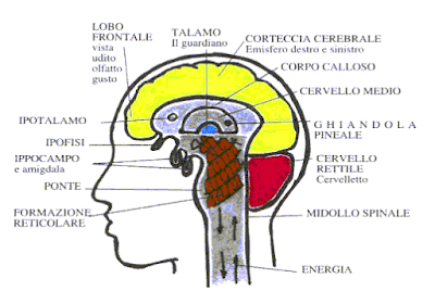 Visualizza immagine di origine