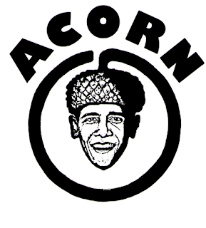 Obama's Acorn