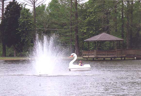 [WGordan-RidingthePaddleboat-b.jpg]