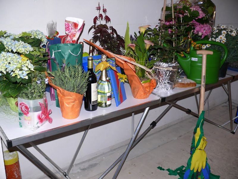 Baualarm Bei Rina Und Paddy Hurra Wir Leben Noch