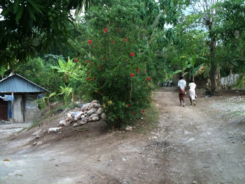 [walking+to+mass+haiti]