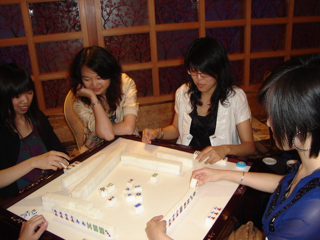 [DSC01501.JPG]