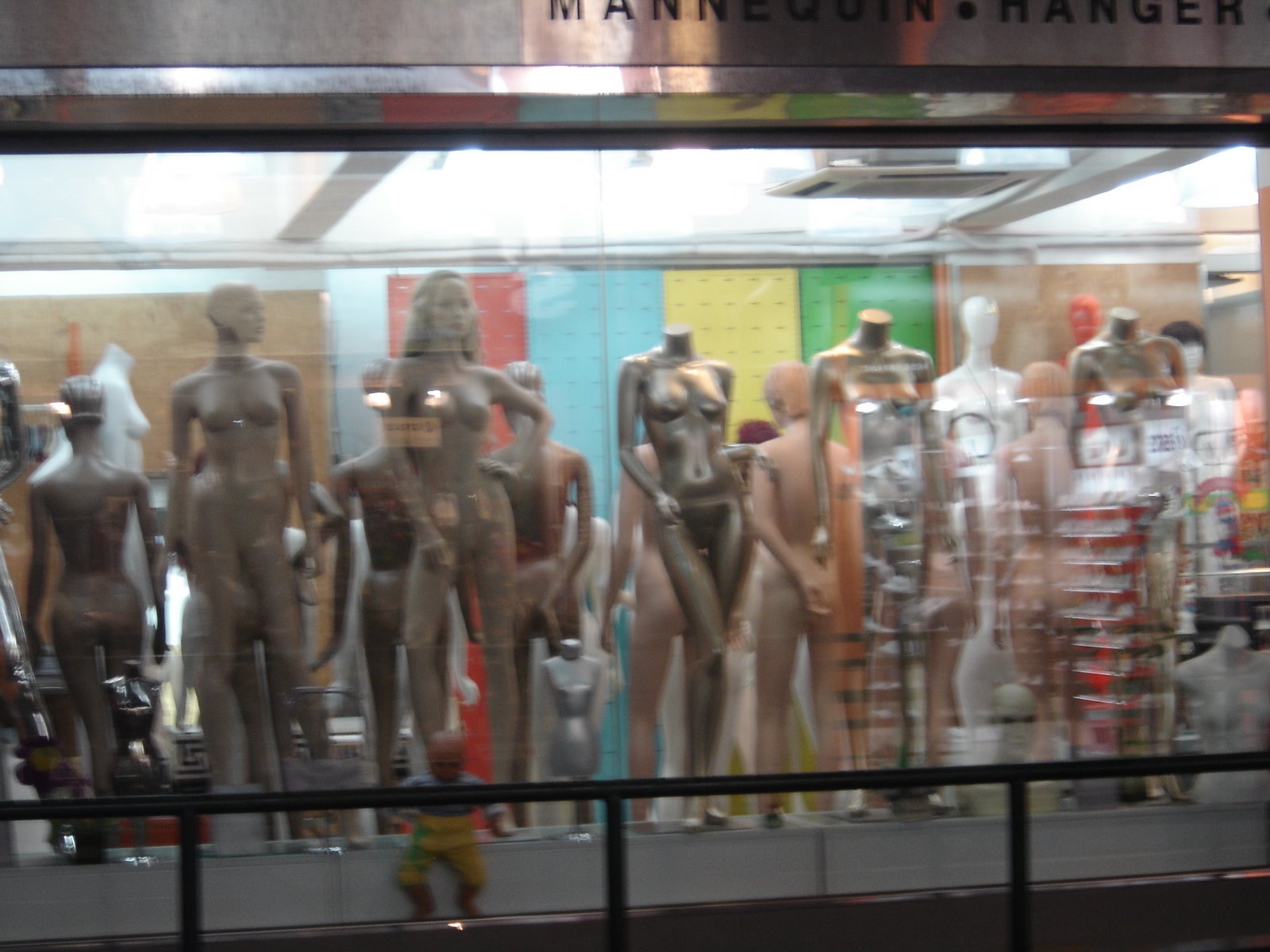 [DSC04293.JPG]