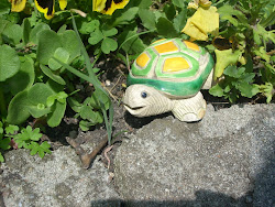 El principio de una gran colección..