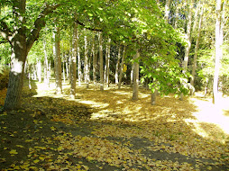 Otoño en el camping