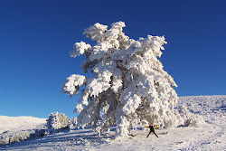 SENDERISMO EN P.N. SIERRA DE LAS NIEVES