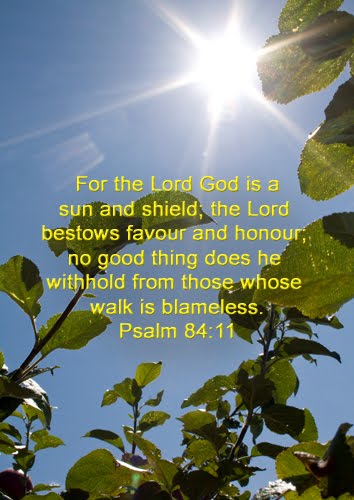 The Sun