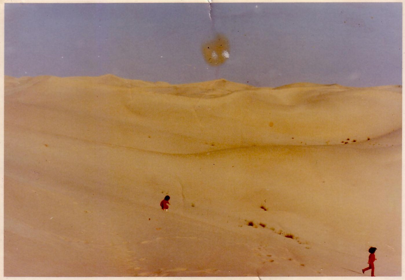 [Scan10006.JPG]
