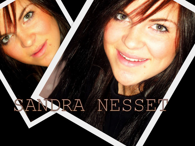This is Sandra Nesset