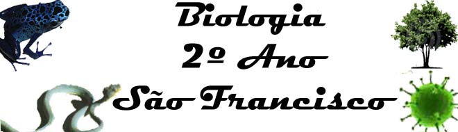 Biologia 2º Ano São Francisco