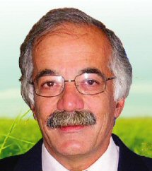 <strong>Francisco Maurício</strong>