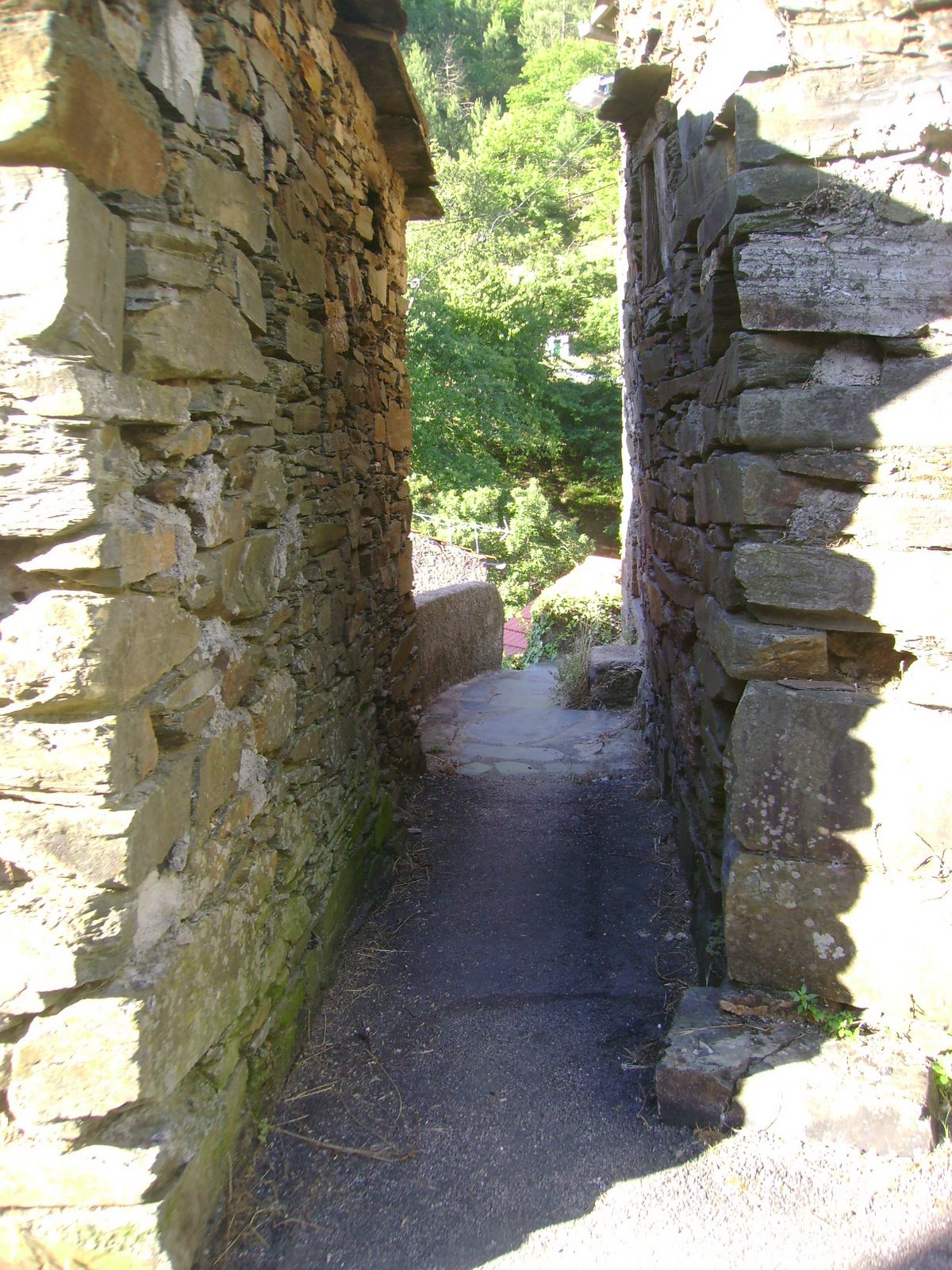 [DSC00660.JPG]