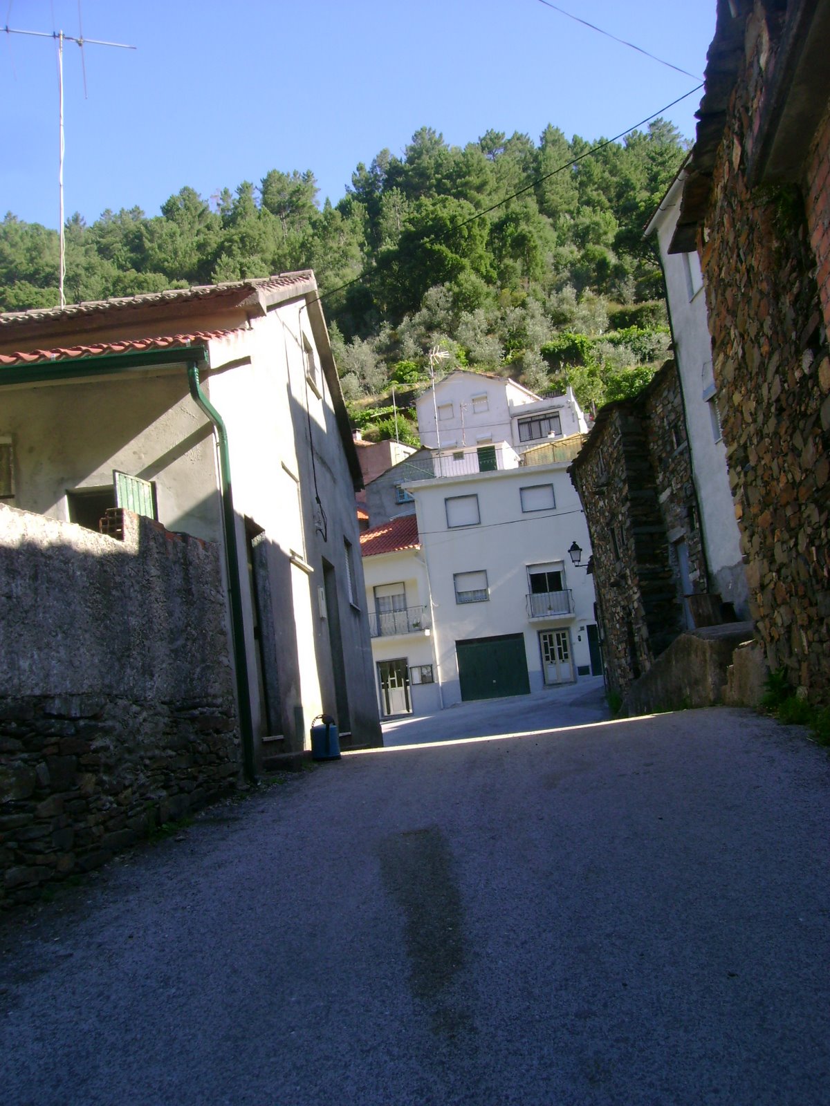 [DSC00695.JPG]