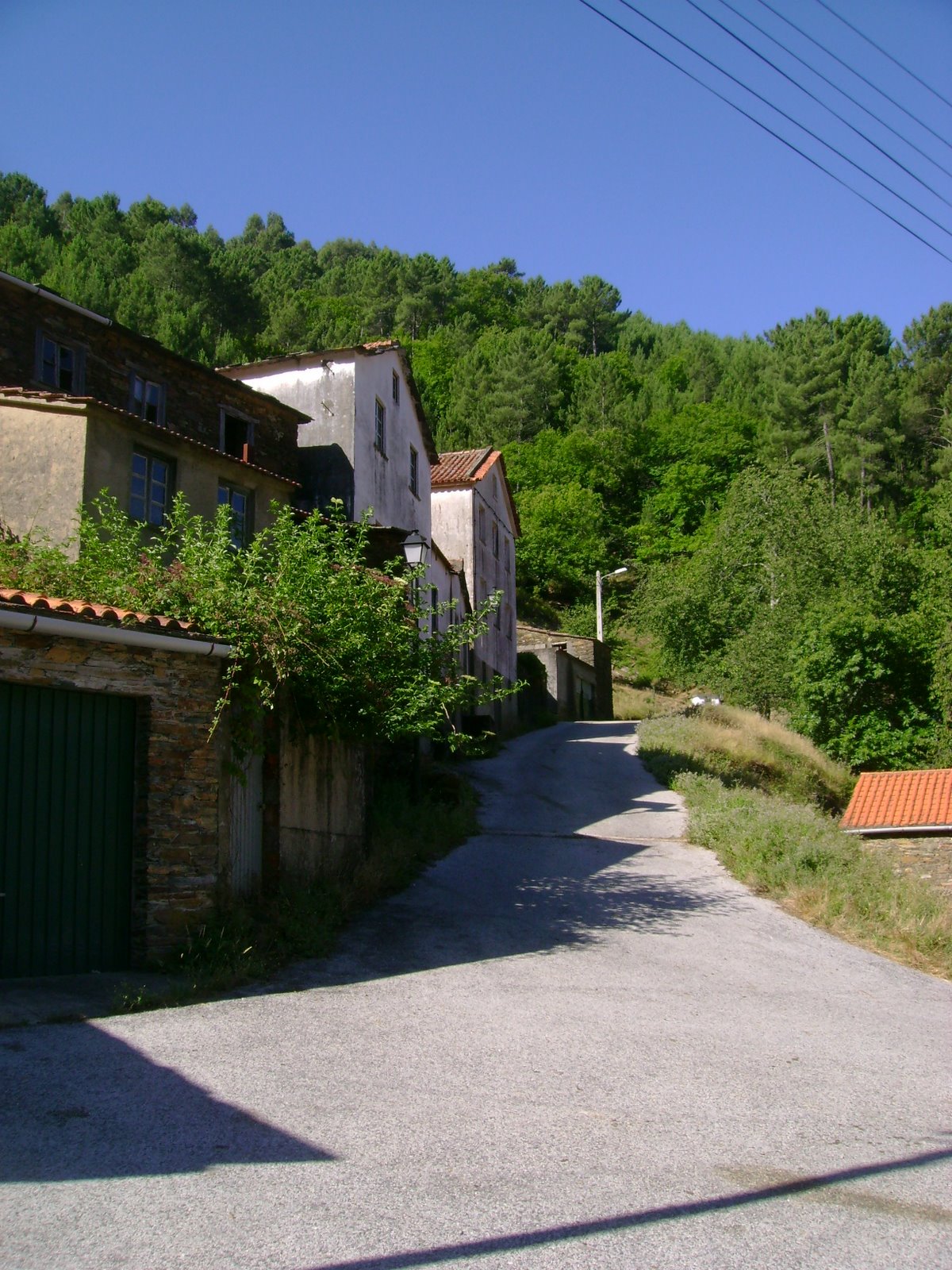 [DSC00700.JPG]