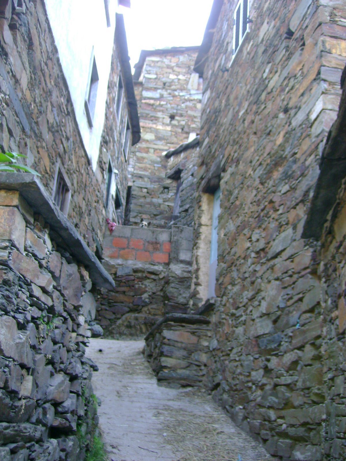 [DSC00758.JPG]