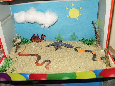 Lifelong Learning: Habitat Dioramas
