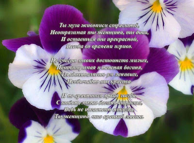 Смотреть Устройство для лепки снежков в подарок видео Смотреть Устройство для лепки снежков в подарок видео