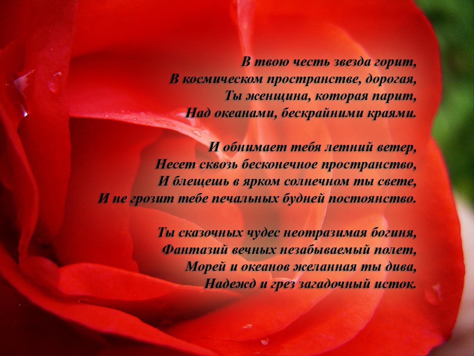[Русские+романтические+стихи+любимой+3.jpg]