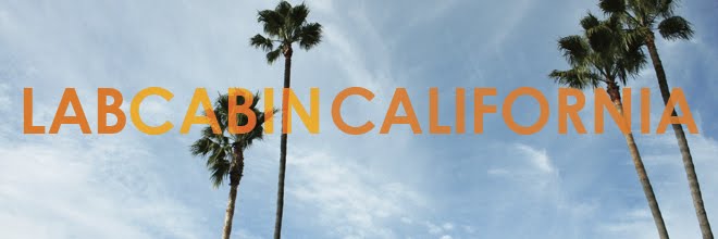 LabCabinCalifornia