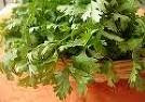 Herbs-Treat and Taste: CORIANDER HISTORY,USES AND SIMPLE SIDE SALAD Herbs-Treat and Taste: CORIANDER HISTORY,USES AND SIMPLE SIDE SALAD