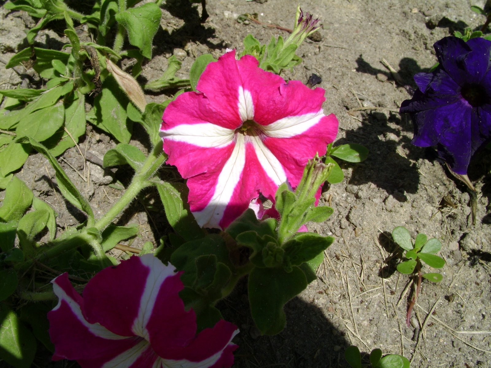 [DSC01721.JPG]