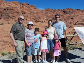Sight Seeing at Red Rock Canyon