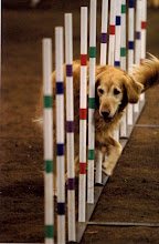 Red Eagle’s Hawkeye of Valdan