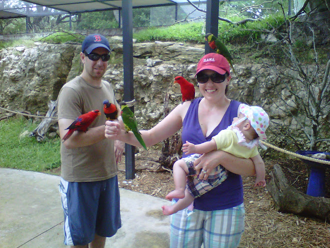 I am going to get that Bird!