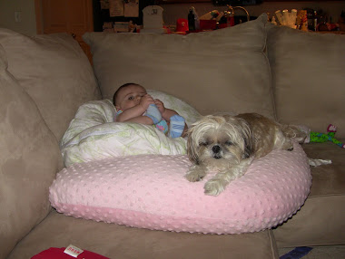 Hanging Out with Shih Tzu