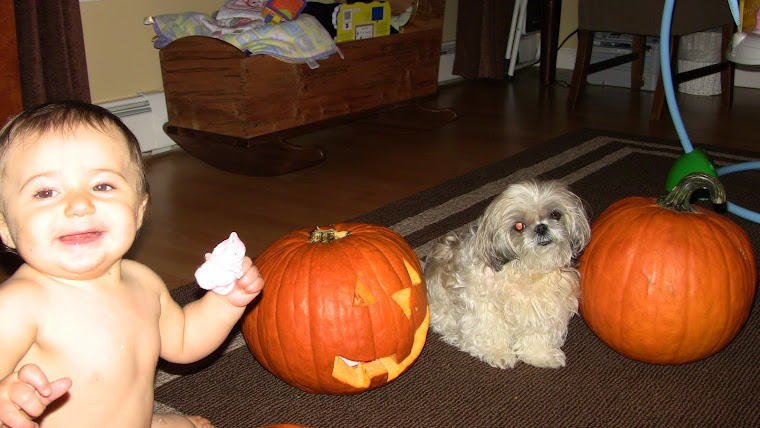 Lilly and Twiggy with their Pumpkins