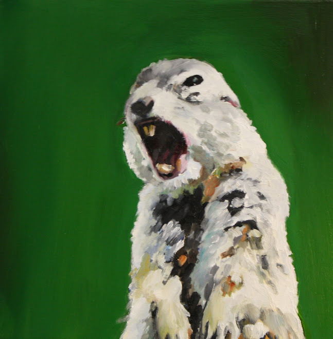 The Grey Squirrel, 2010