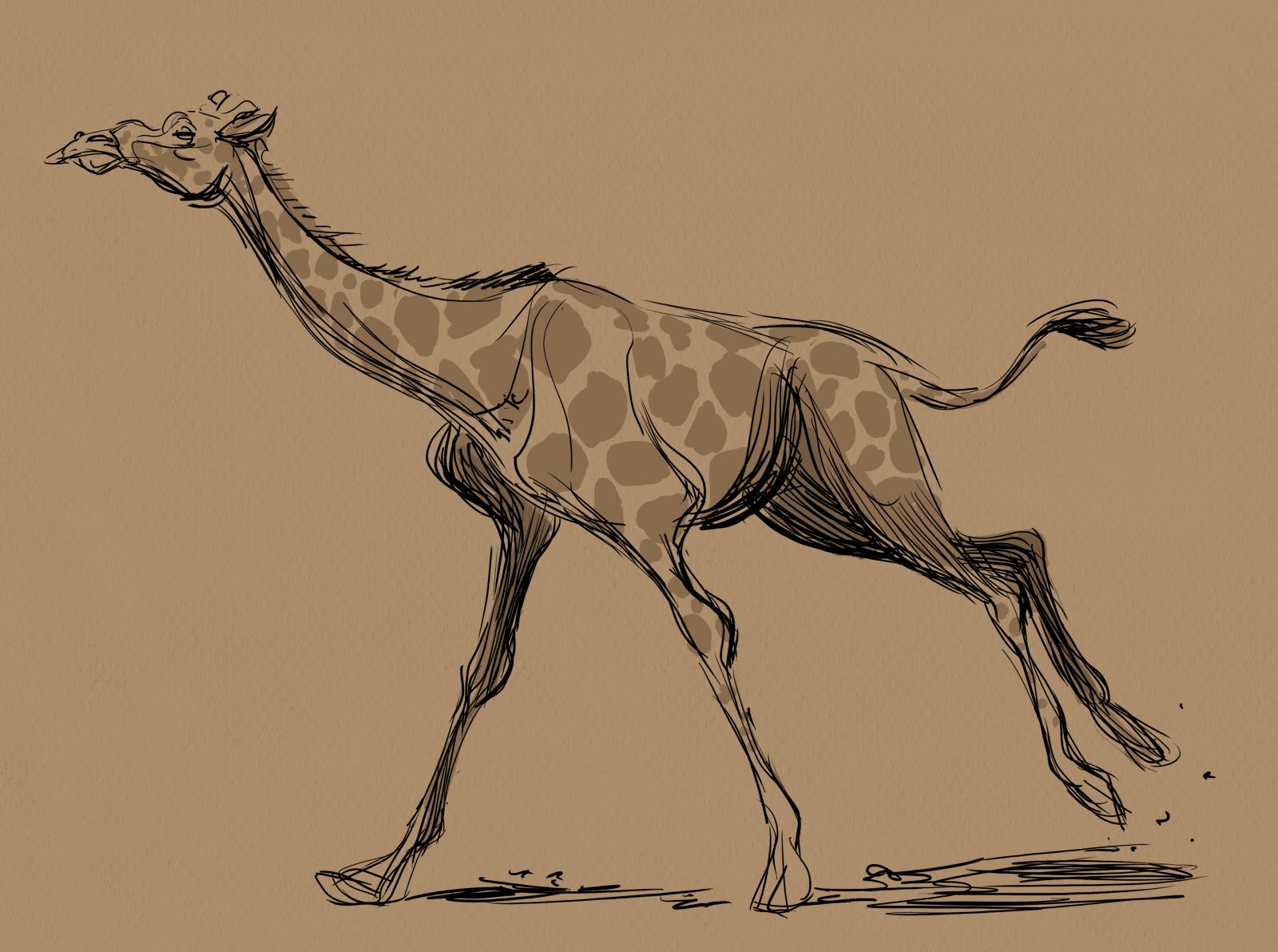 New Giraffe Sketch Drawing with simple drawing