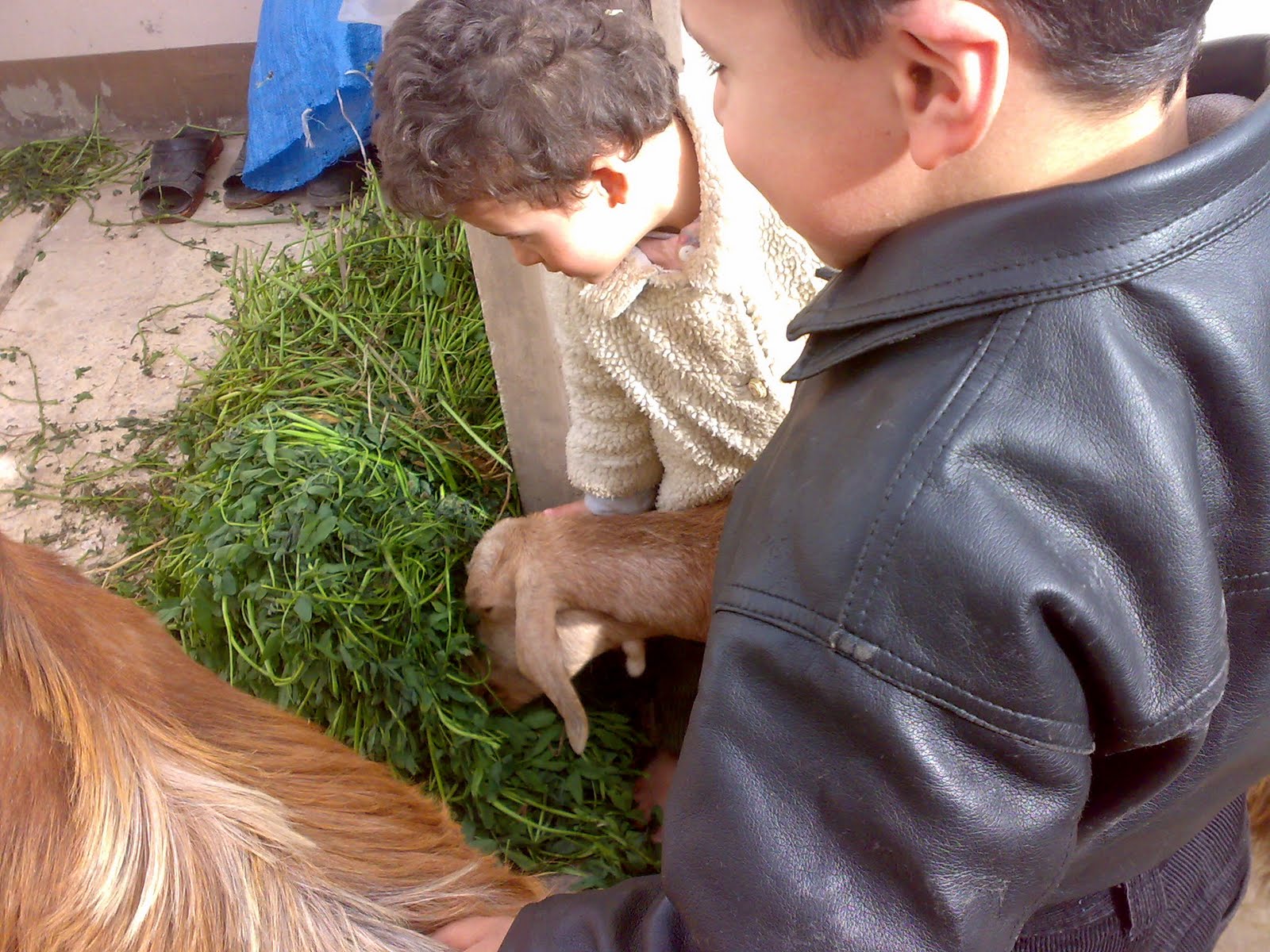 [جيجي٧٤٤١.jpg]