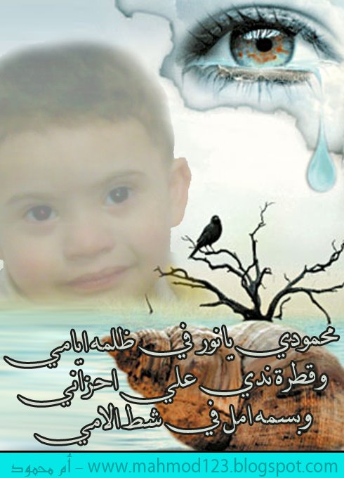 [bsmlh_a24ebaf413.jpg]
