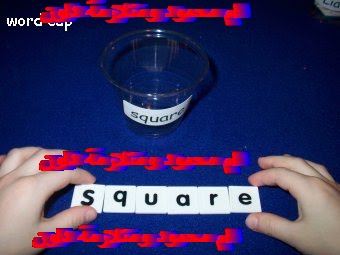 [3.BMP]