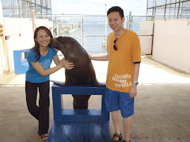 Sea Lion show at honeymoon trip