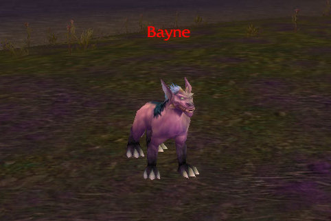 Bayne does not wander much,