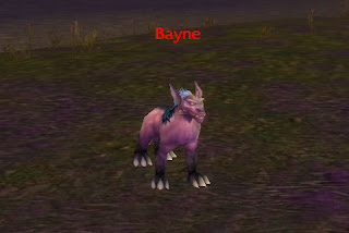 Bayne does not wander much,